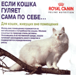 Реклама Royal Canin