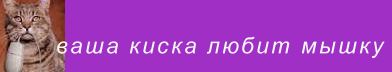Классный сайт о кошках